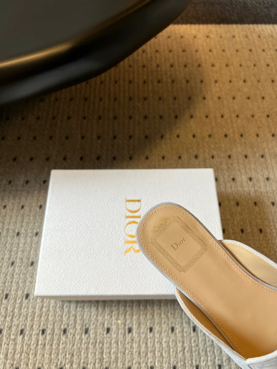 Стелька мюля из бежевой кожи с тисненым логотипом на коробке Dior