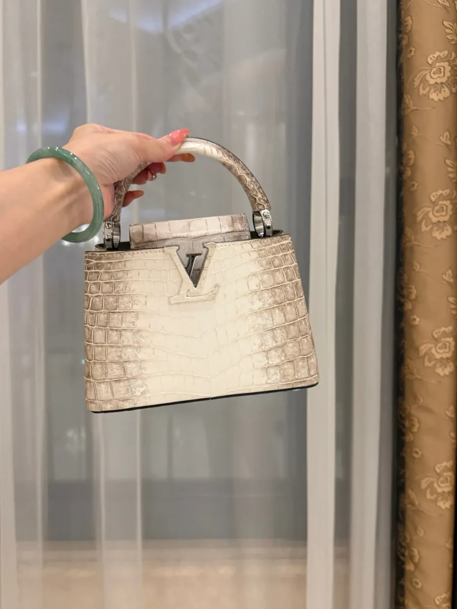 Сумка Capucines BB с градиентом Himalaya, вид спереди