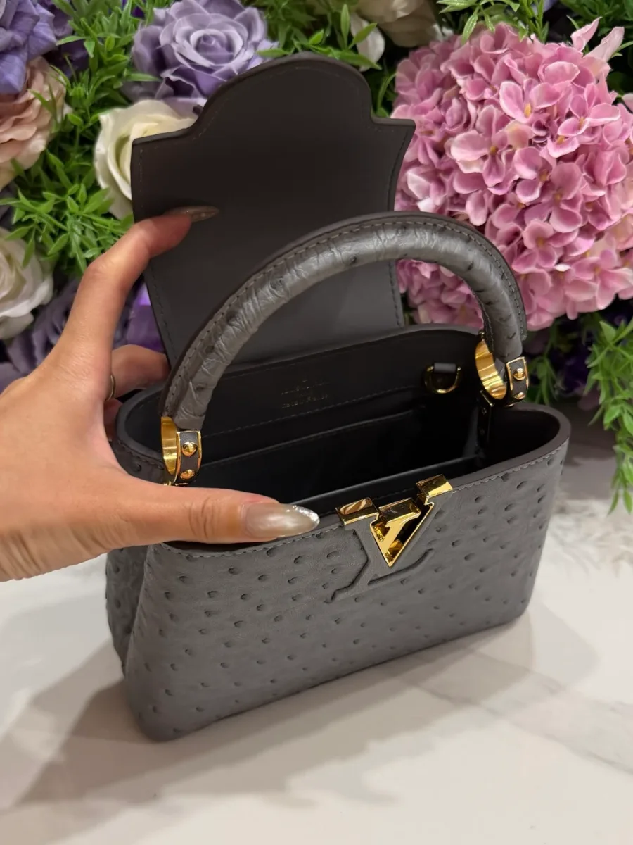 Вид сверху на открытое внутреннее отделение сумки Capucines BB