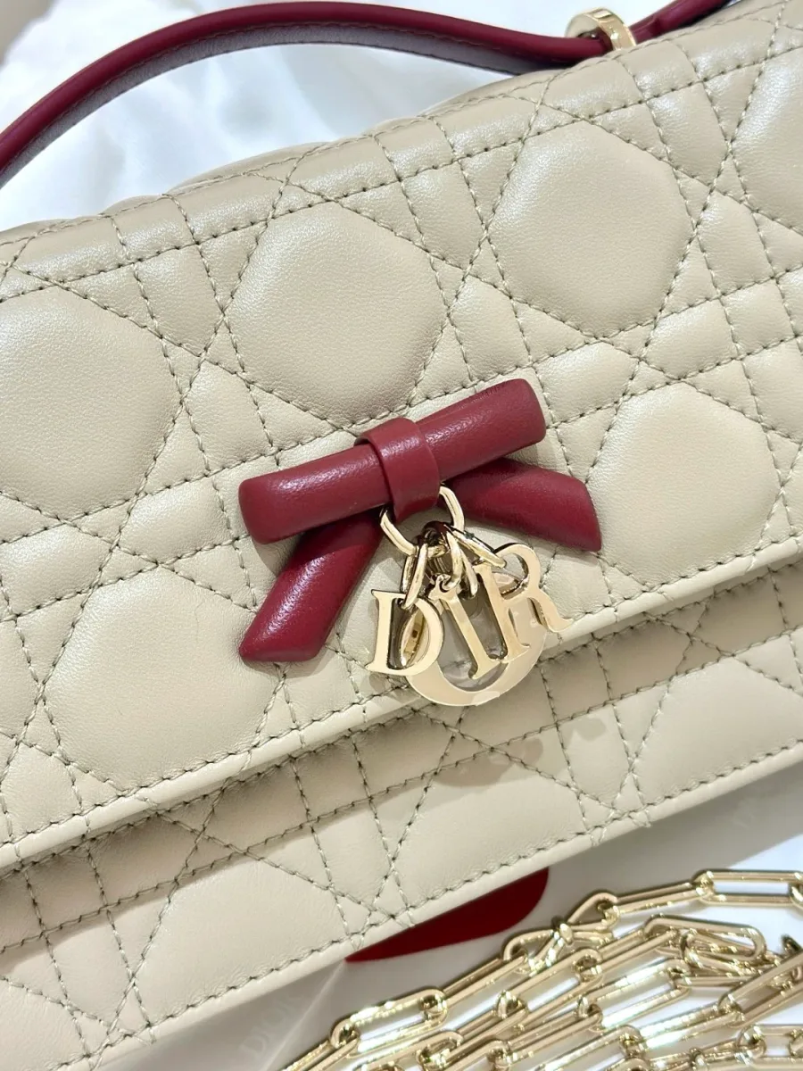 Крупный план бордового кожаного банта с золотистой подвеской DIOR
