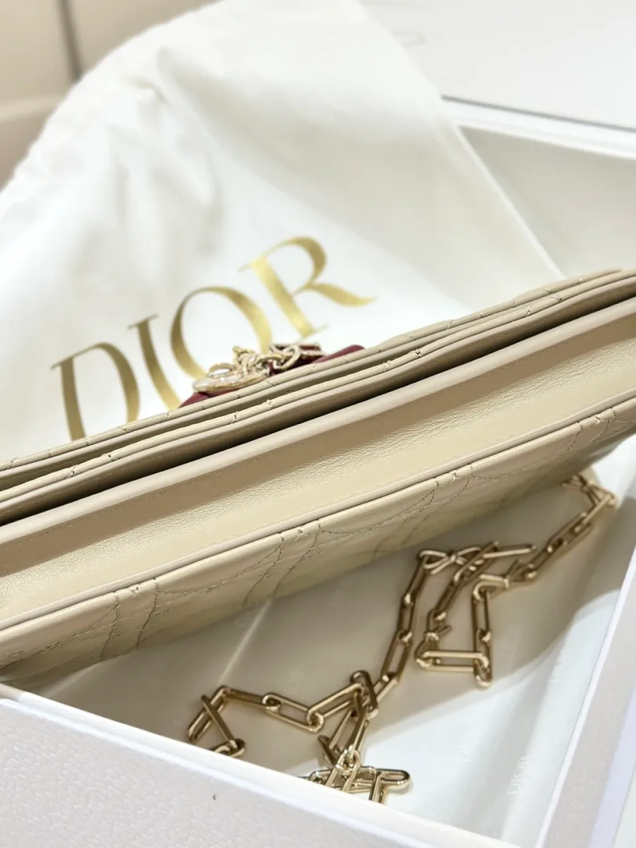 Бежевая сумка Dior WOC, вид снизу