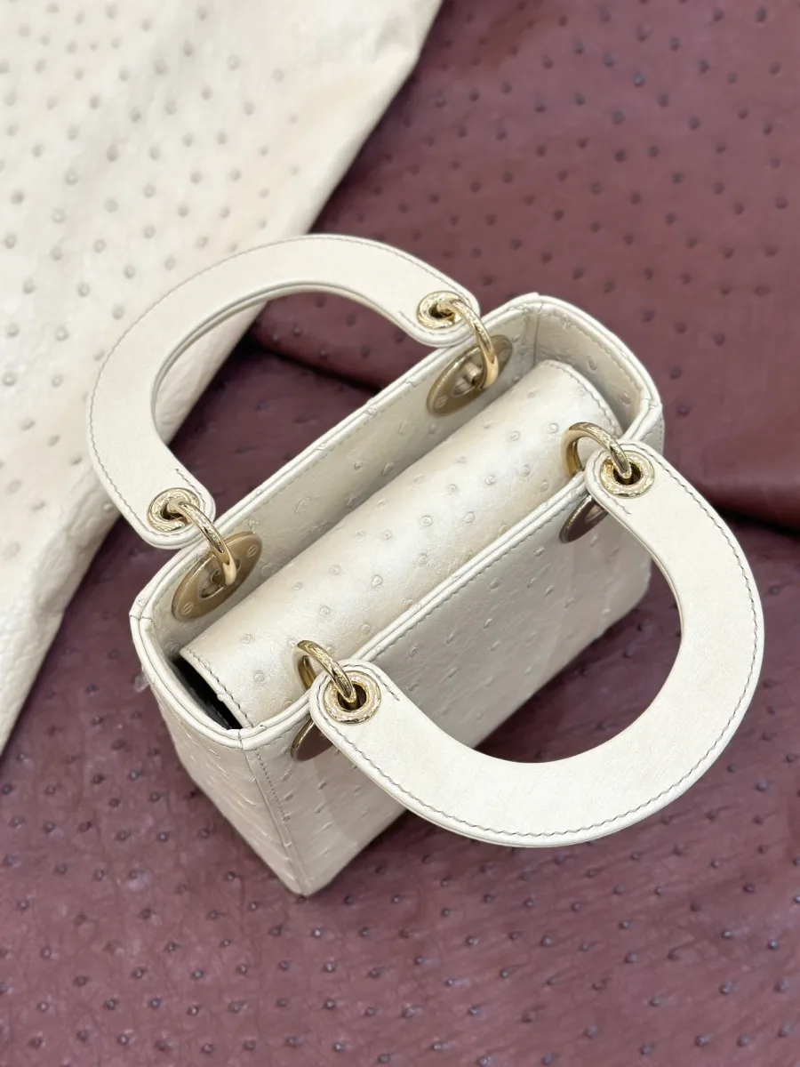 Открытая сумка Lady Dior сверху, видны ручки и внутреннее отделение