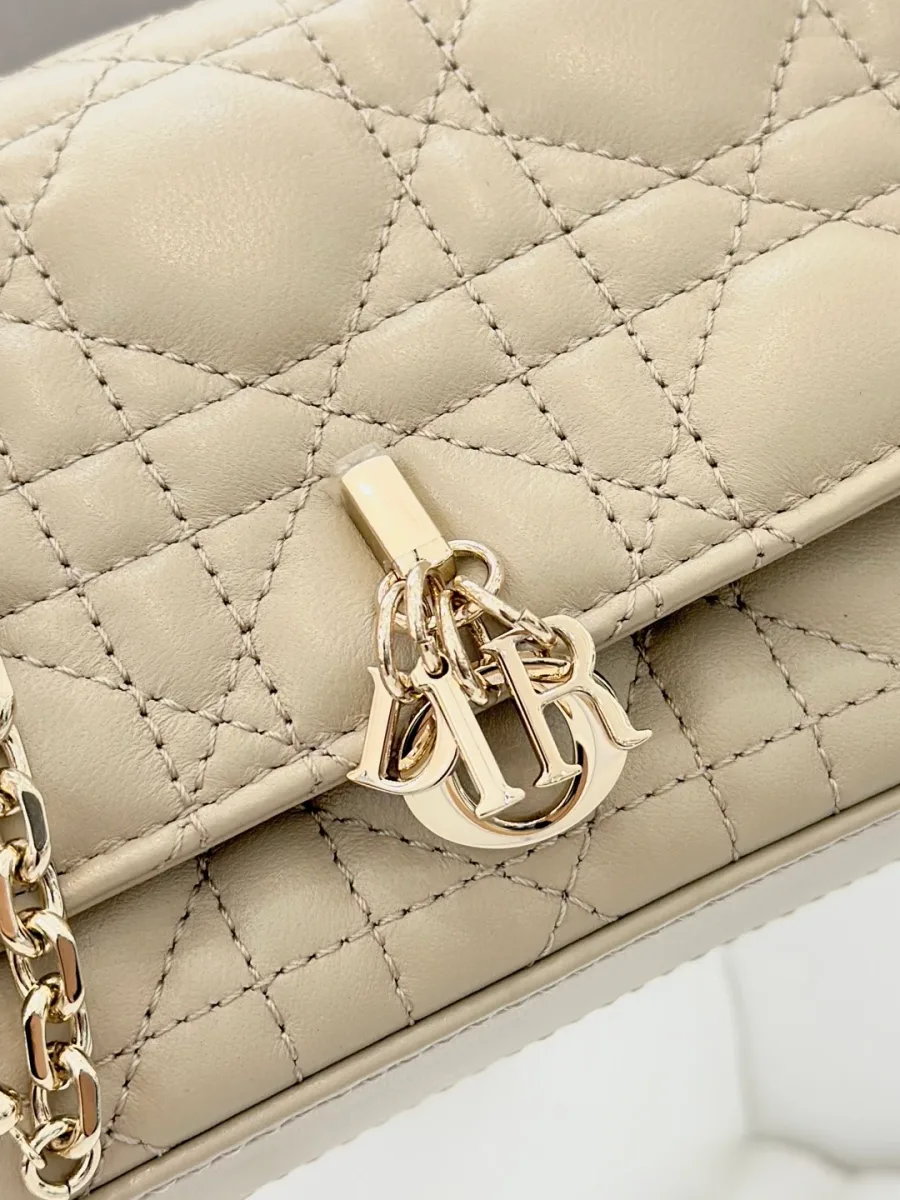 Деталь клапана клатча Dior WOC с золотистой подвеской DIOR