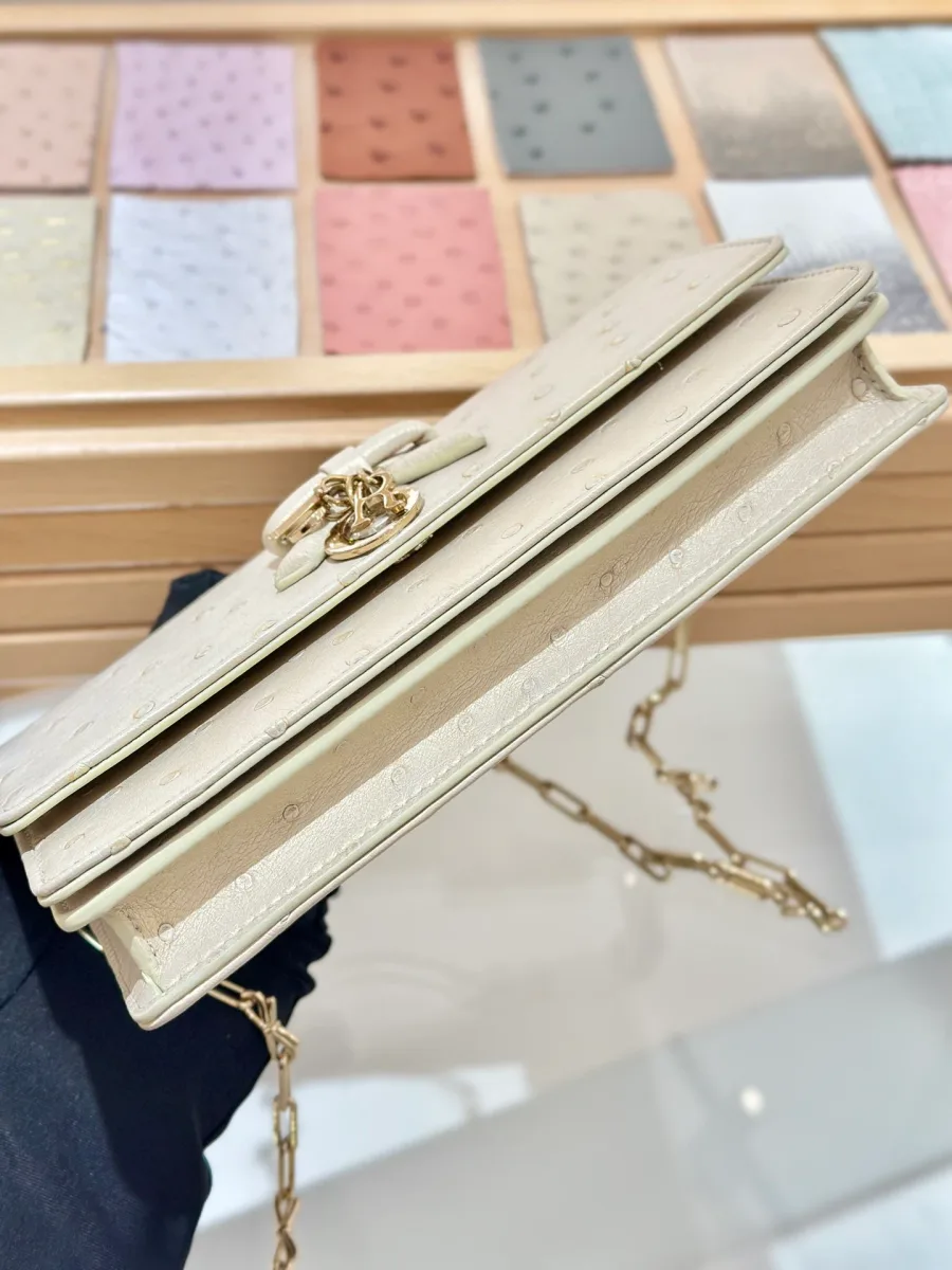 Вид снизу на бежево-золотой клатч Dior WOC из кожи страуса
