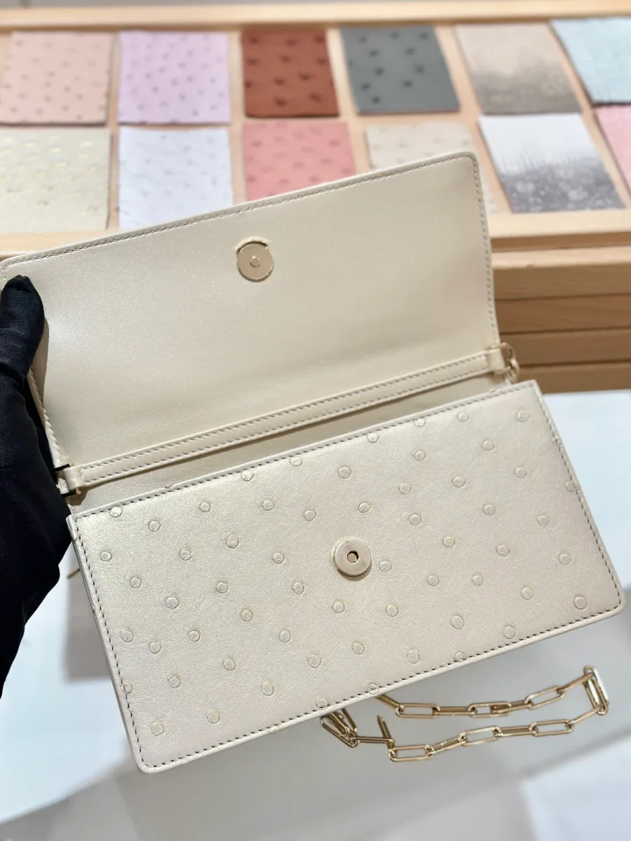 Открытый клатч Dior WOC, вид на внутреннюю кнопку-застежку