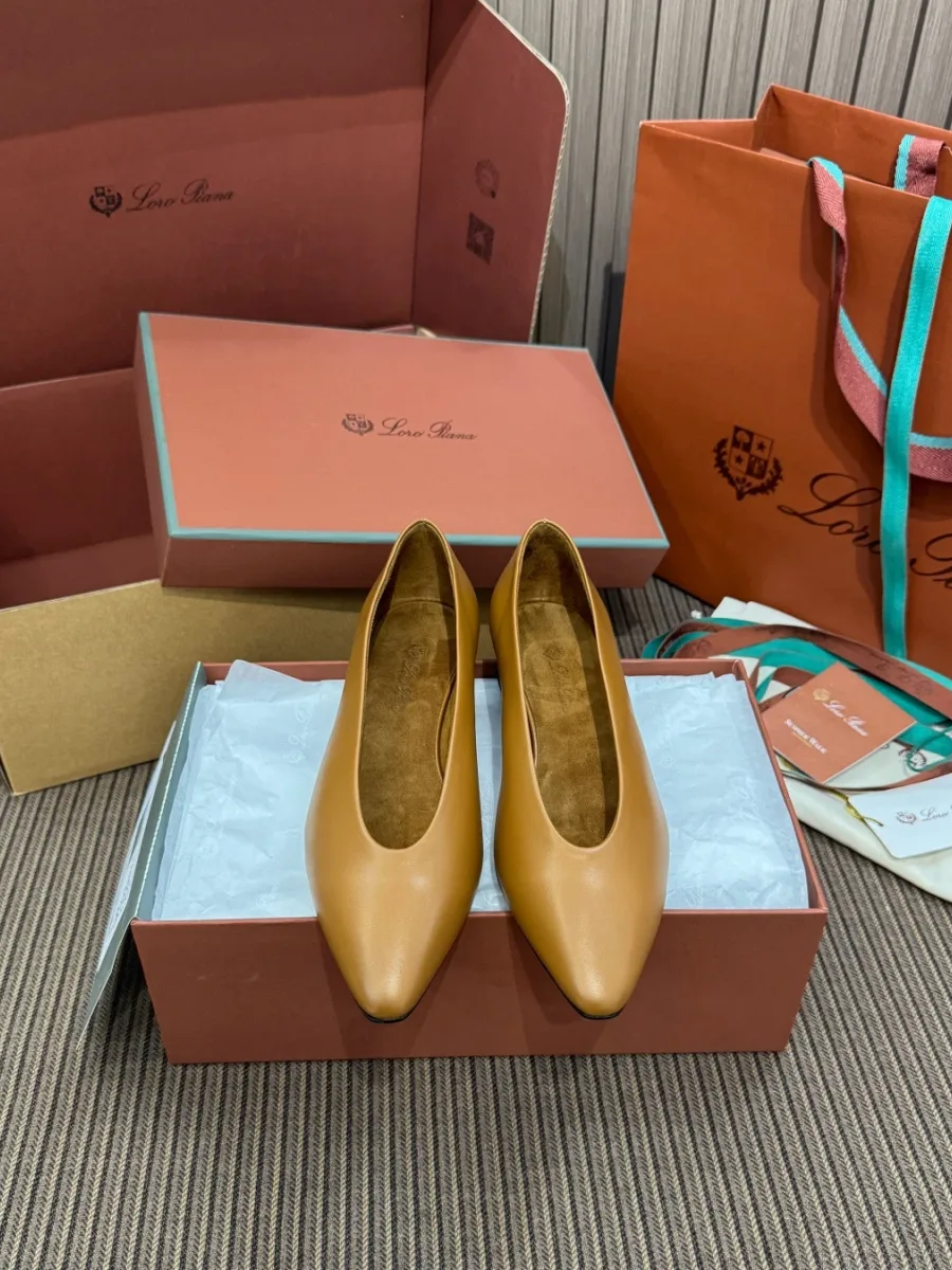 Пара коричневых балеток Loro Piana Rebecca в фирменной коробке, вид спереди