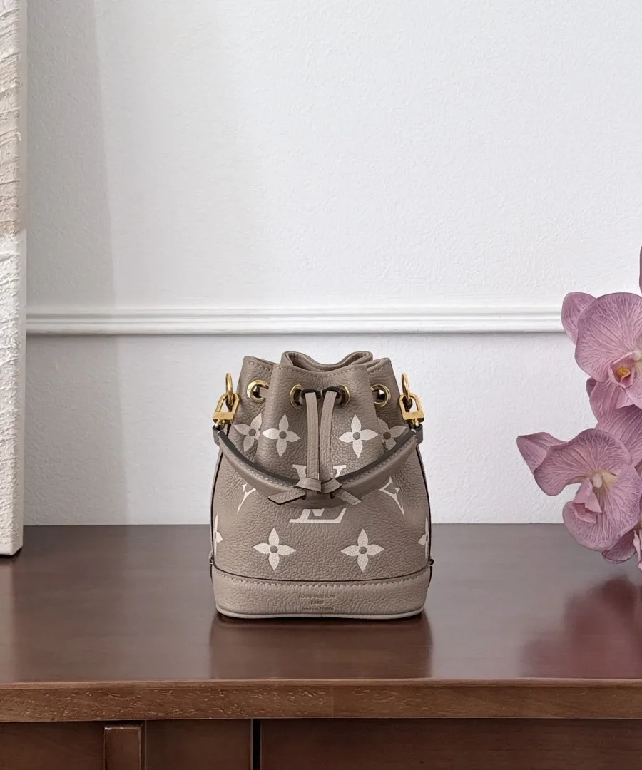 Серо-бежевая мини-сумка-ведро Louis Vuitton Nano Noé, вид спереди