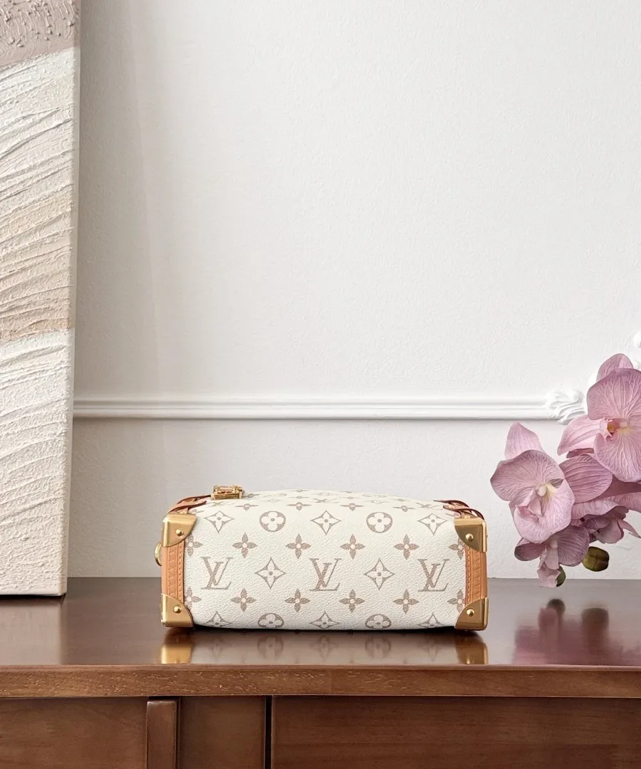 Вид снизу на бежевую сумку Louis Vuitton Side Trunk с монограммой