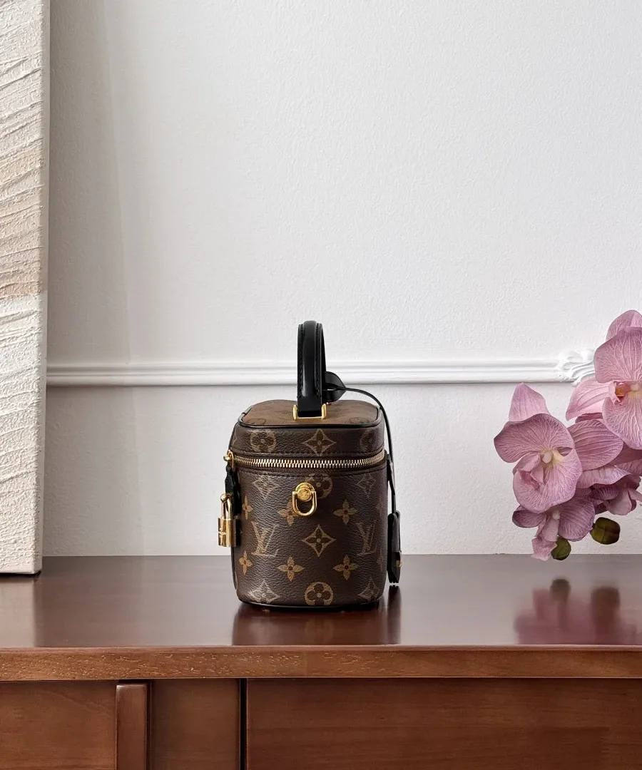 Сумка Louis Vuitton Vanity PM в монограмму, вид сбоку