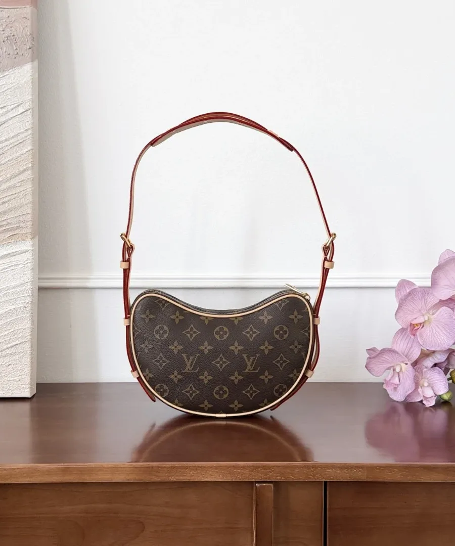 Коричневая сумка-полумесяц Louis Vuitton Loop из канвы Monogram, вид спереди