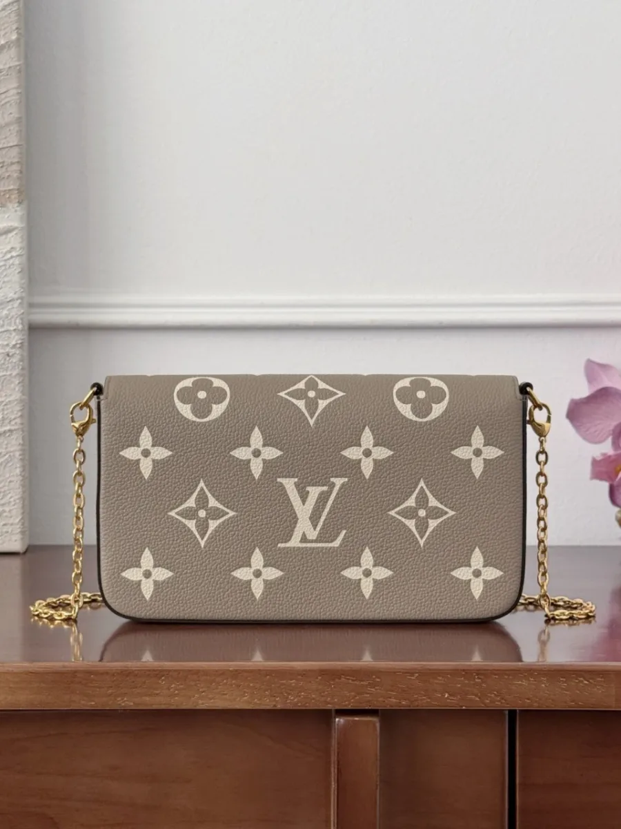 Серая сумка-конверт Louis Vuitton Félicie Pochette, вид сзади