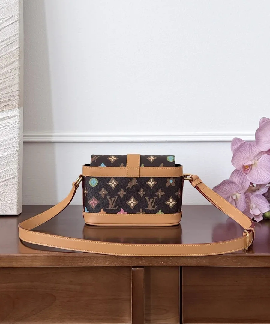 Разноцветная сумка-мессенджер Louis Vuitton с монограммой, вид сзади