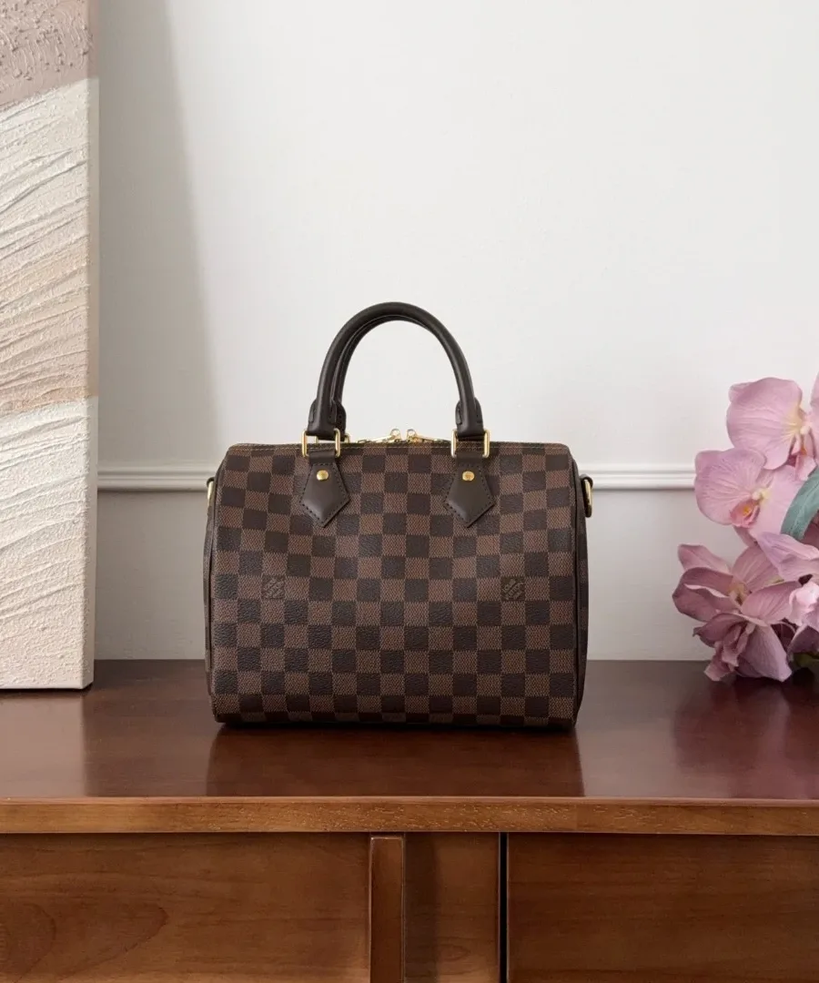 Сумка Louis Vuitton Speedy 25 в коричневую клетку Damier Ebene, вид спереди