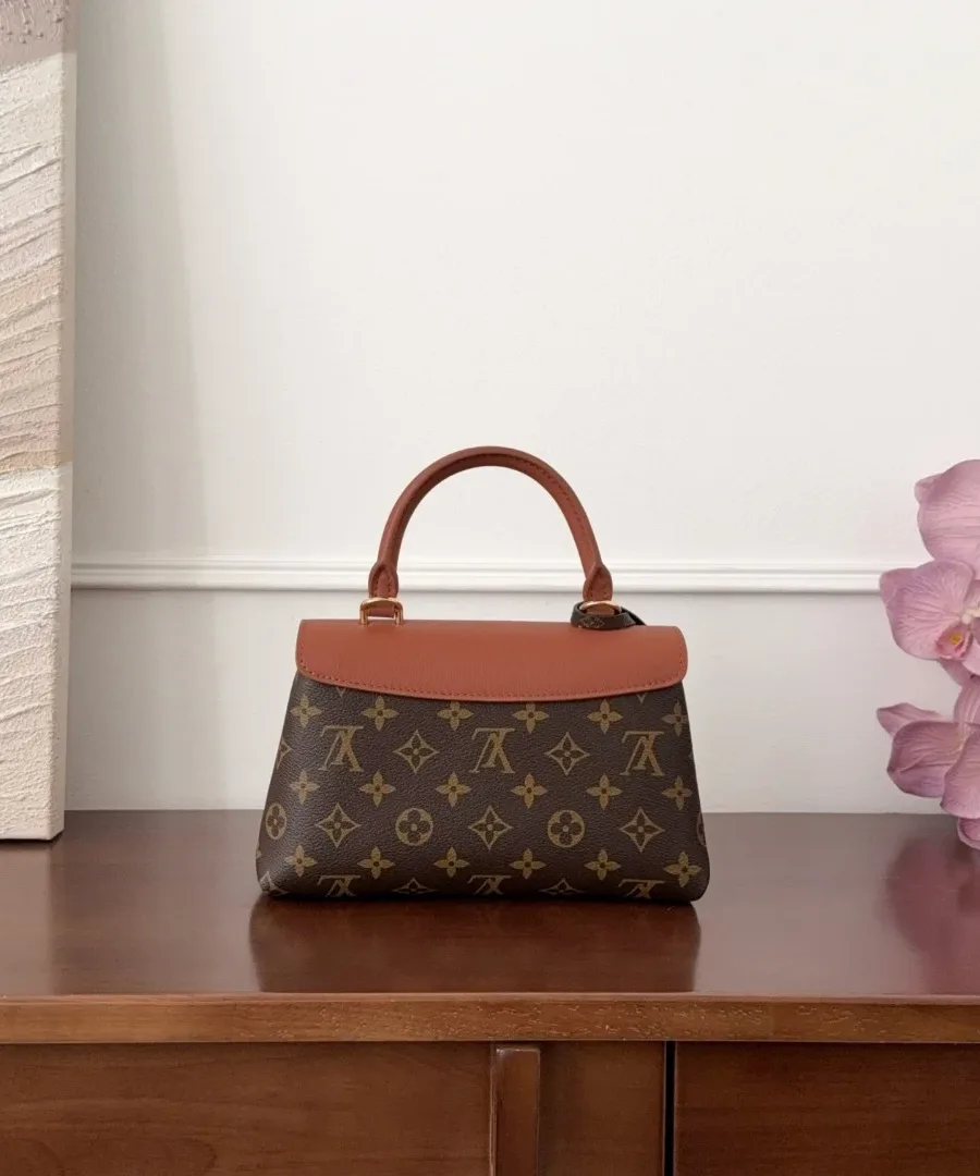 Коричневая сумка Louis Vuitton Madelene BB, вид сзади