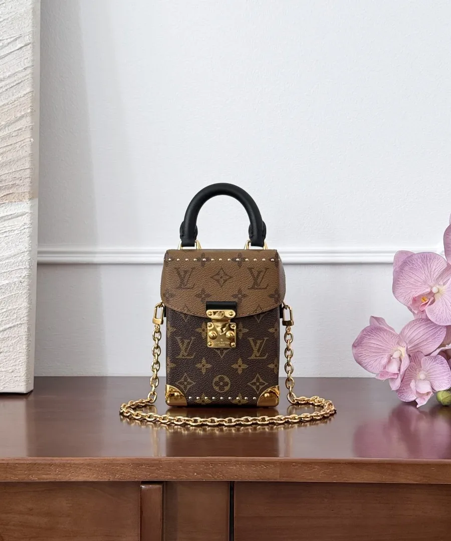 Коричневая сумка-коробка Louis Vuitton Camera Box с золотистой цепочкой, вид спереди
