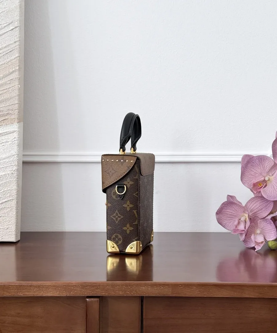 Коричневая сумка Louis Vuitton Camera Box из канвы Monogram, вид сбоку