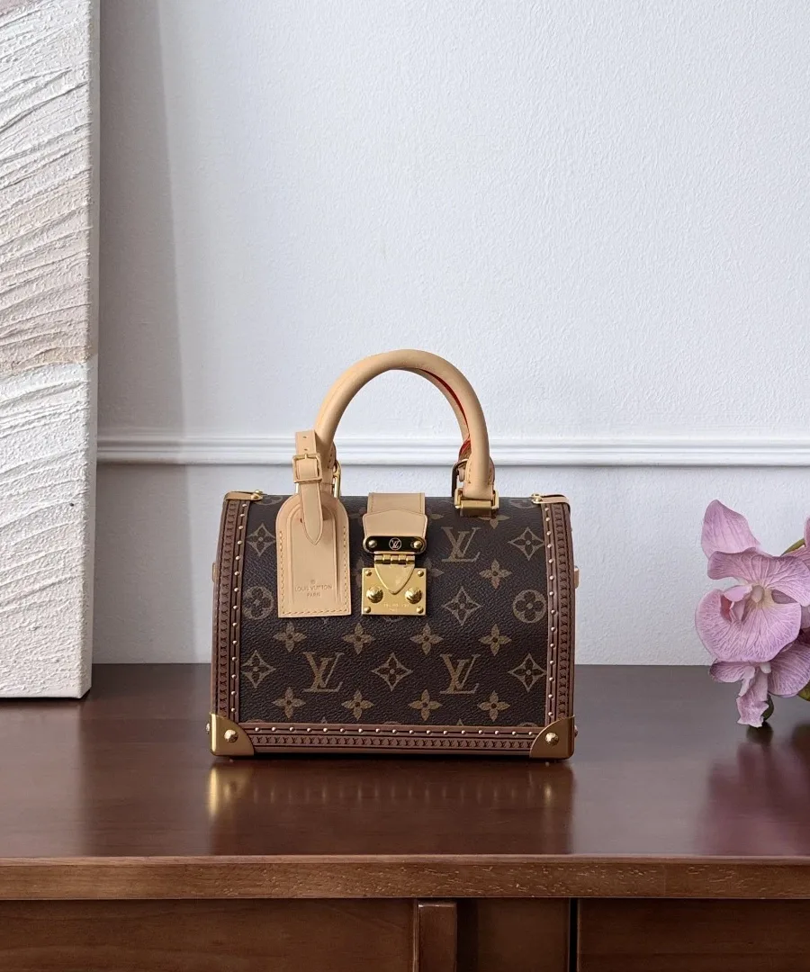 Коричневая сумка-сундук Louis Vuitton Speedy Trunk с замком S-lock, вид спереди