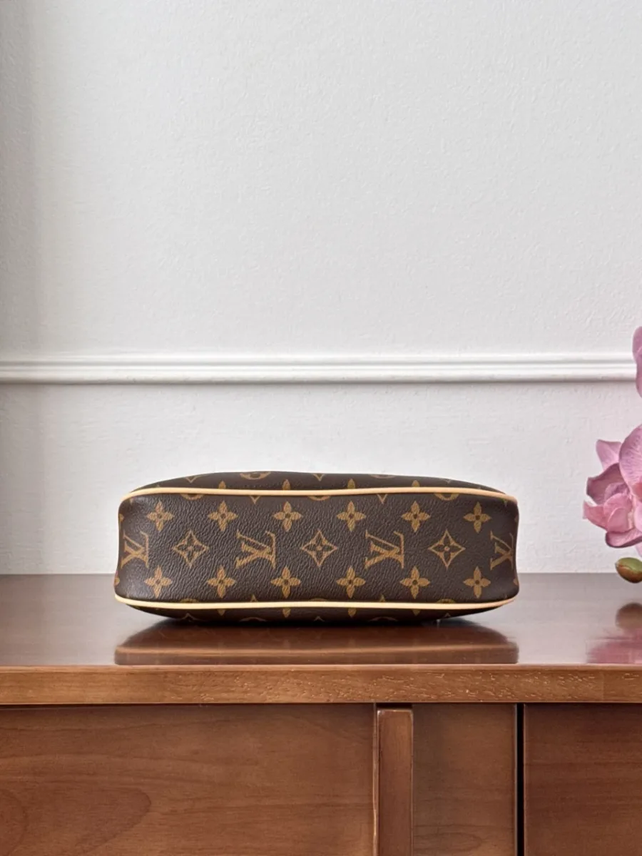 Нижняя часть сумки Louis Vuitton Nano Frivole с узором Monogram