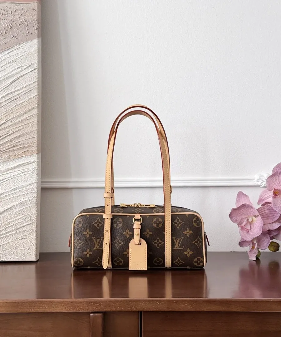 Коричневая сумка Louis Vuitton Hang On Monogram, вид спереди
