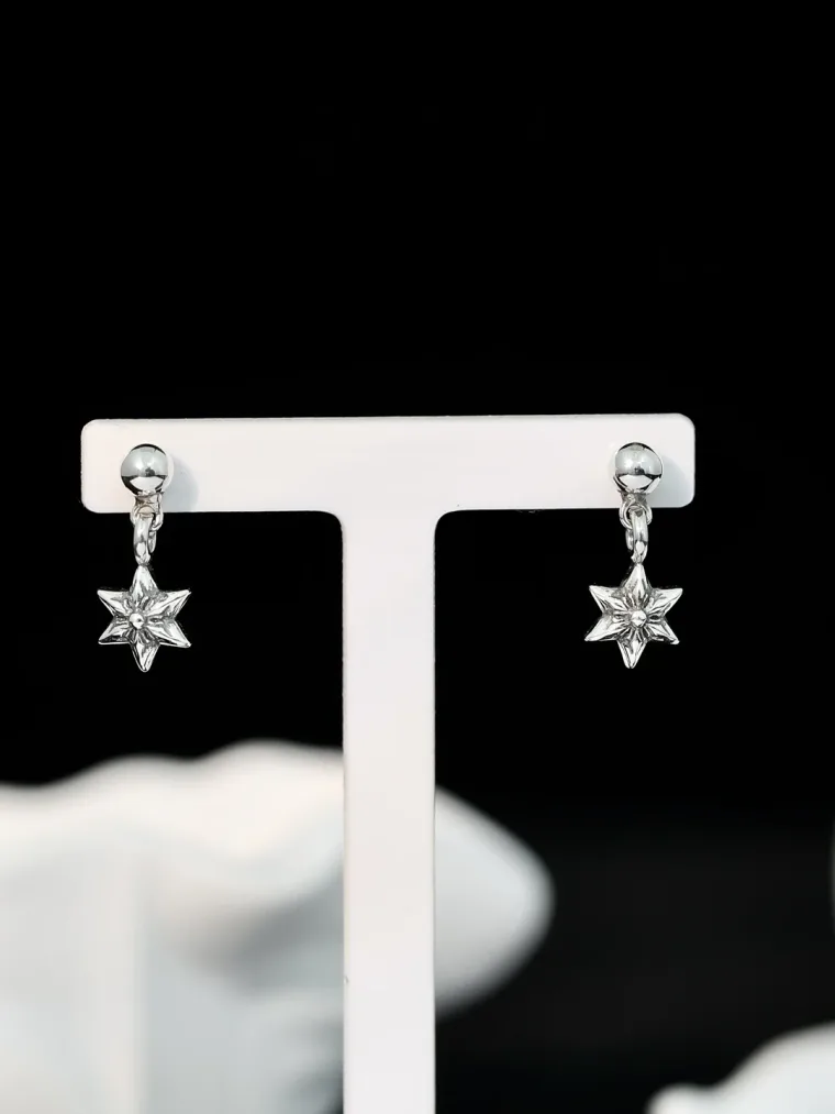 Chrome Hearts Серьги-пусеты в форме шестиконечной звезды