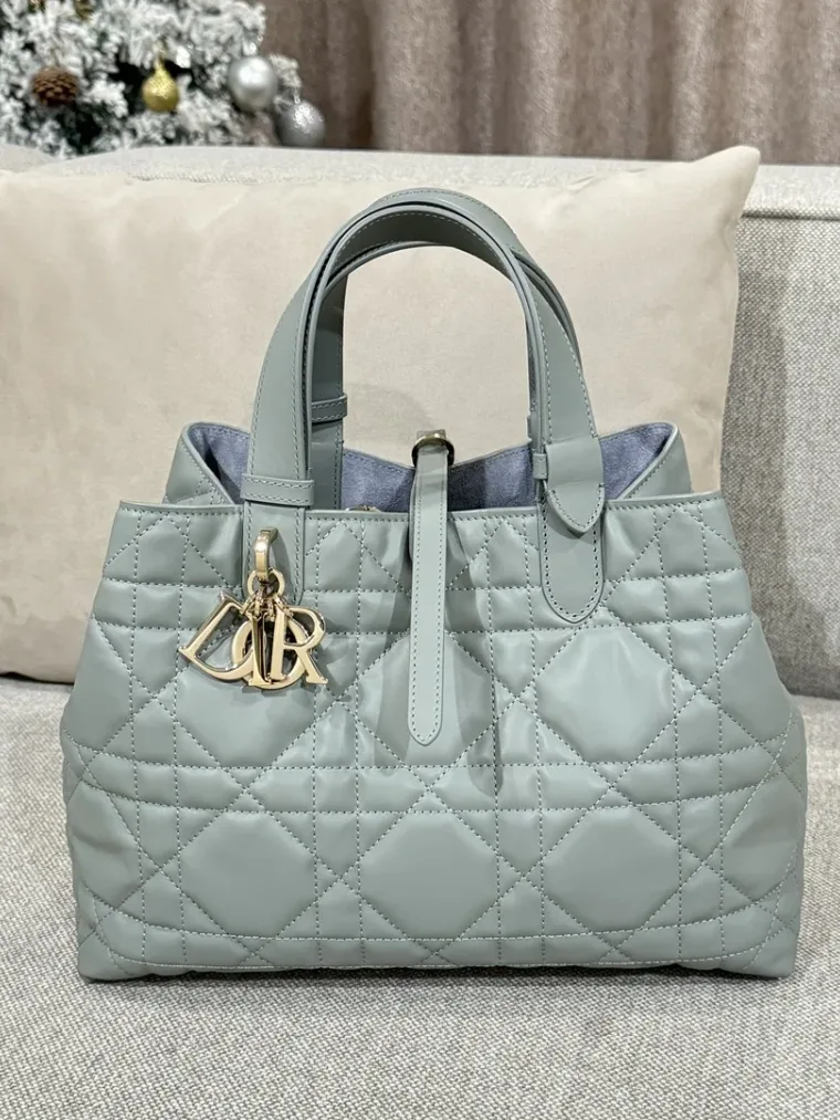 Dior Toujours Medium