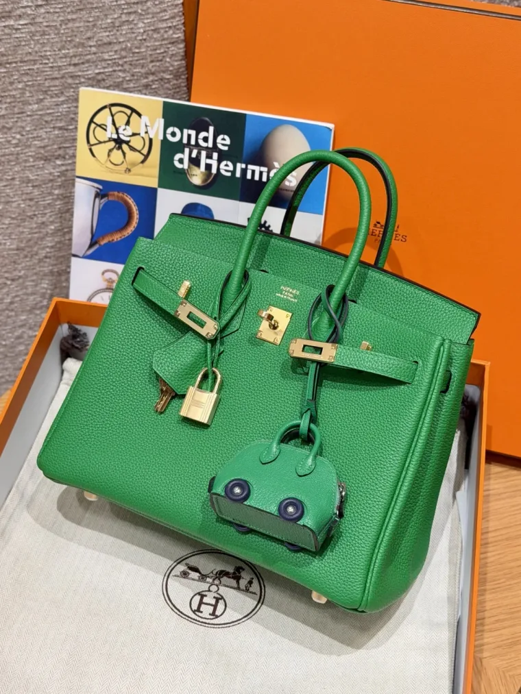 Hermes Birkin 25