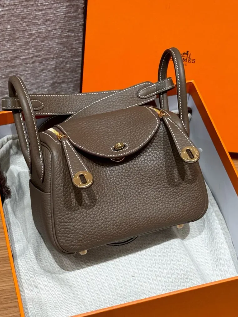 Hermes Mini Lindy 19