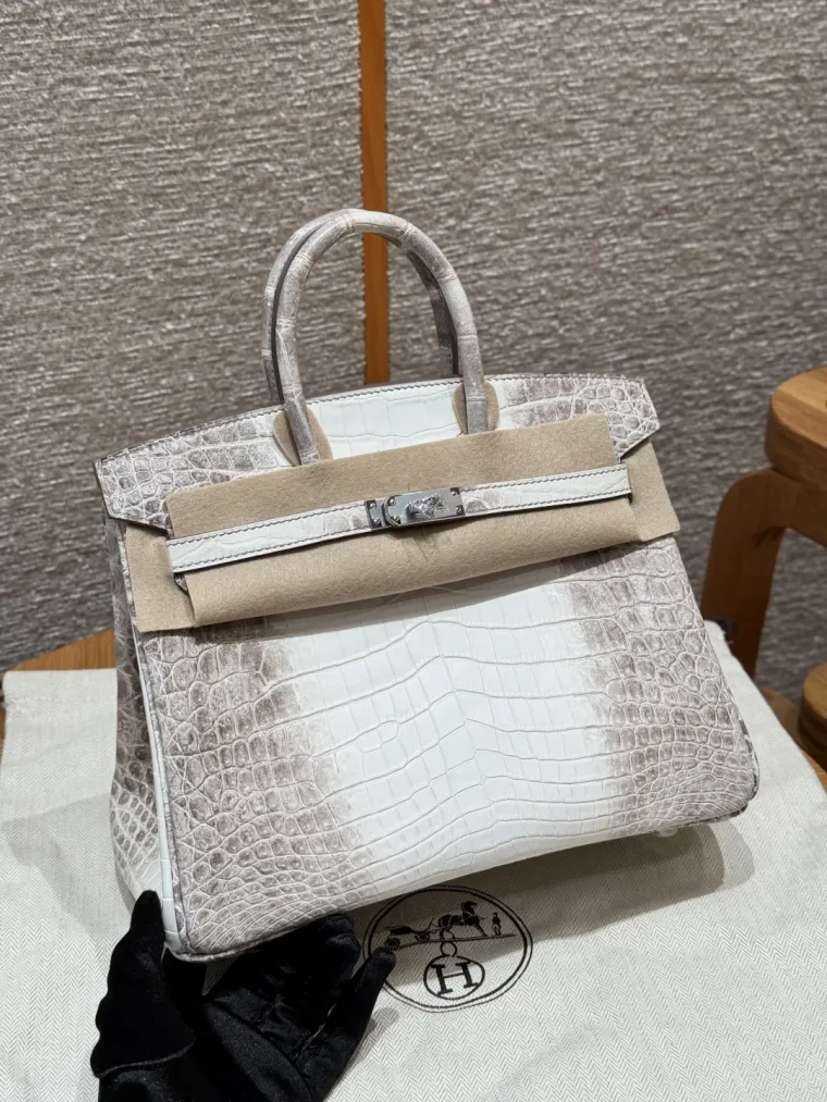 Hermes Birkin 25