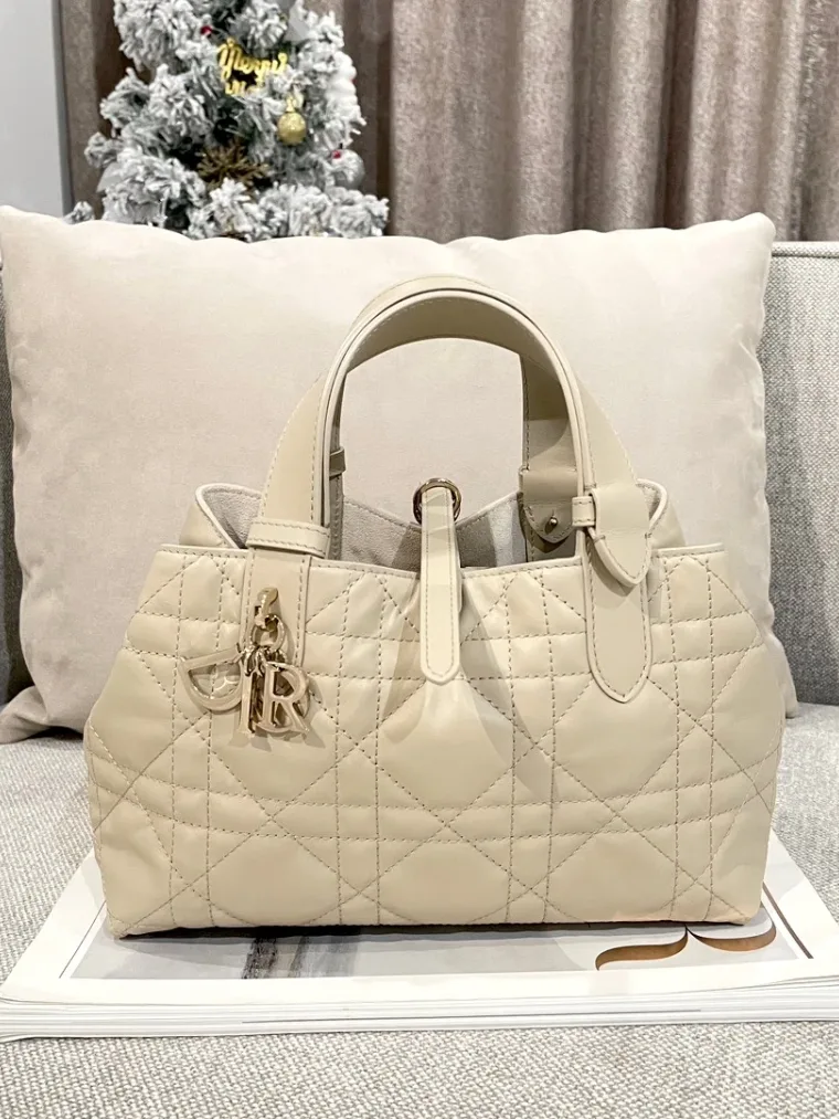 Dior Toujours Small