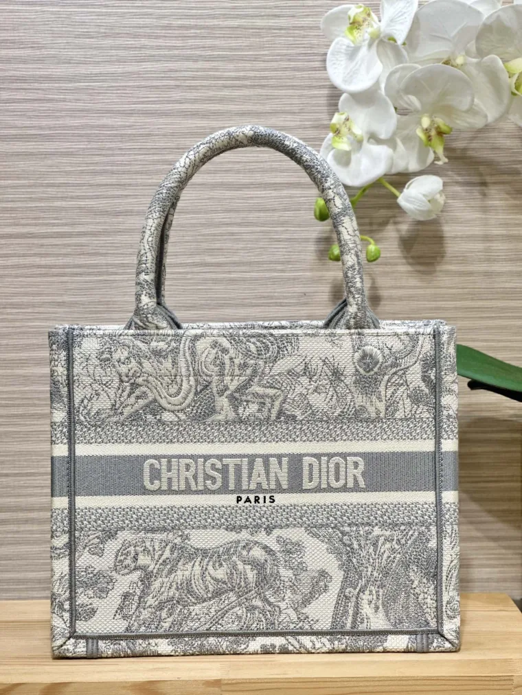 Dior Book Tote Small