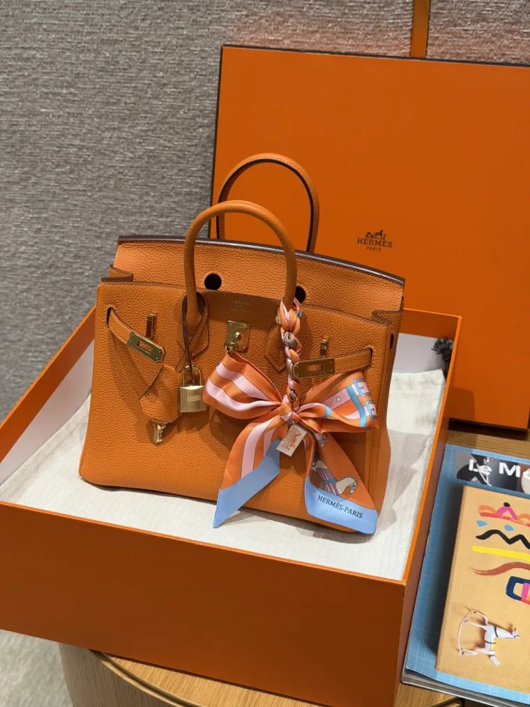 Hermes Birkin 25