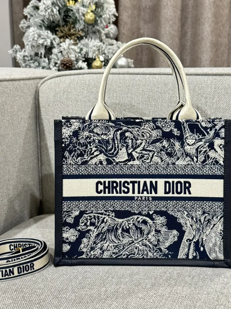 Dior Book Tote Small