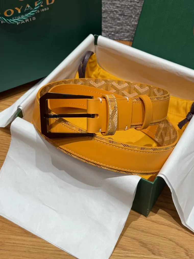 Goyard Ремень Florida